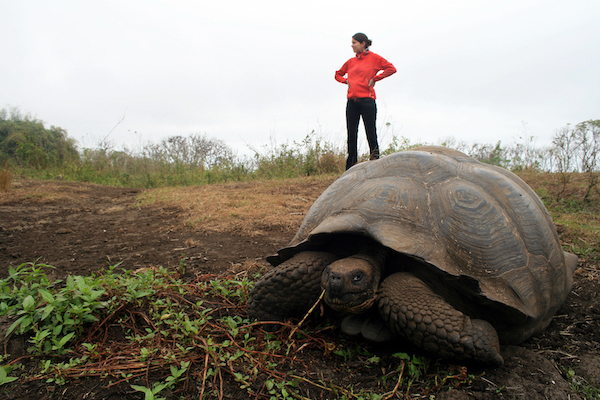 Fabienne with Galapagos Turtle