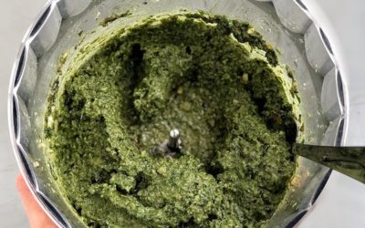 Kale Walnut Pesto with Spirulina (vegan, gf)
